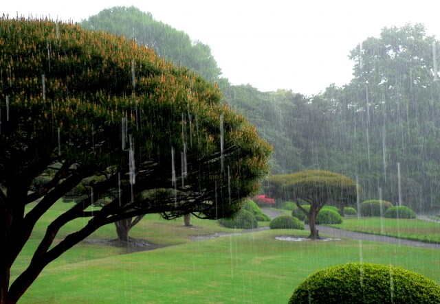 雨が降っているゴルフ場